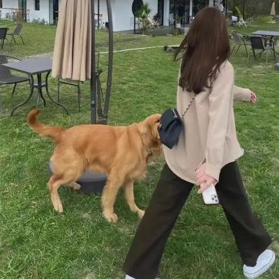 陪我走下去